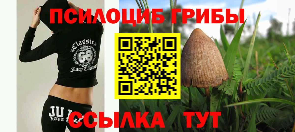 Псилоцибиновые грибы Magic Shrooms Маркс
